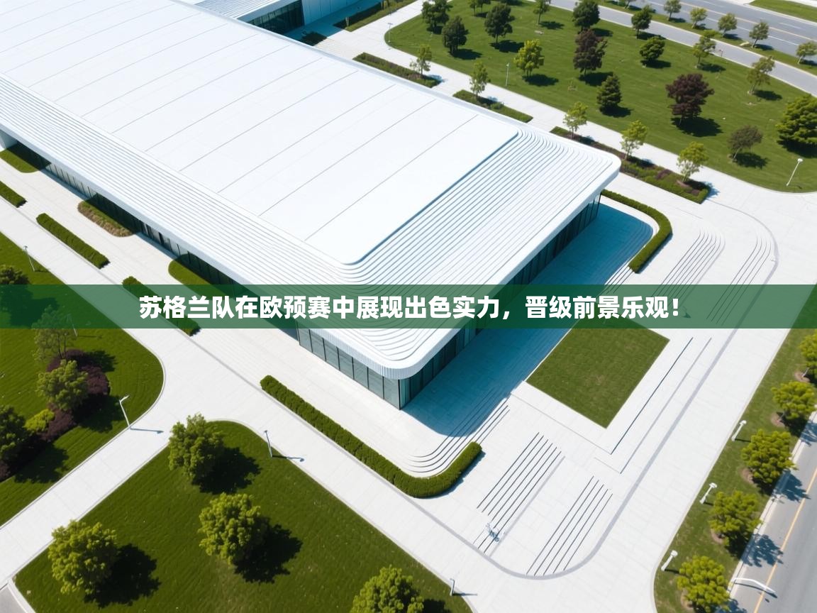 苏格兰队在欧预赛中展现出色实力，晋级前景乐观！  第2张